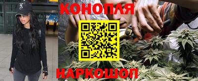 PSILOCYBIN Будённовск