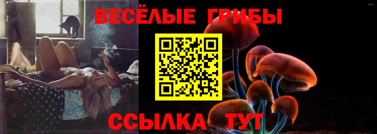 Псилоцибиновые грибы прущие грибы  Галлюциногенные грибы Psilocybe  Вход с VPN  Тихвин 